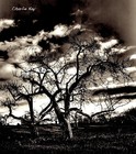 Picture for song 'S.U.P.E.R.' by artist 'Charlie Kay'