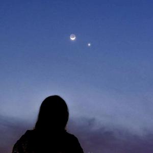 Picture for song 'Jocelyn 122bpm C#m' by artist 'Prod. maiden'