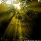 Picture for song 'Daylight' by artist 'chrispatrick'