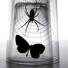 Picture for song 'Conversations Kill (SOLD)' by artist 'CHUCK DIESEL'