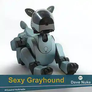 Picture for song 'Sexy Greyhound (95 bpm)' by artist 'Dave Nuke'