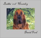Picture for song 'Bubbas ol Houndog.mp3' by artist 'David Ford'