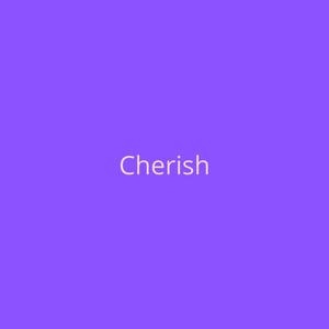 Picture for song 'Cherish [Summer Walker Type Beat]' by artist 'DJ Mauri B'