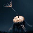 Picture for song '04 - DUALITY - Of One - "Nonlinear Progression"' by artist 'Duality (Dualism Studios)'