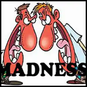 Picture for song 'Madness' by artist 'Freddy J'