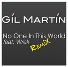 Picture for song 'No One In This World (Dup Remix)' by artist 'Gil martin'