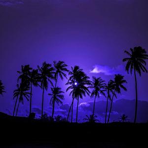 Picture for song 'Journey to Palm Lake: 4-Reflections' by artist 'Jav Grojas'