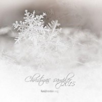 Picture for song 'Christmas Time (Roberto Herce)' by artist 'Javier Vecino'