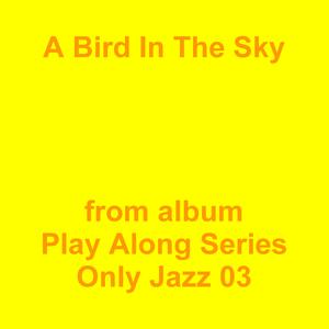 Picture for song 'A Bird In The Sky' by artist 'Jean-Marc Lozach'