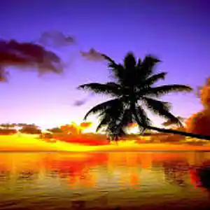 Picture for song 'Driftwood Beach' by artist 'Johanna Renfro'