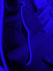 cover pic