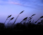 Picture for song 'My Breeze' by artist 'Larry Ludwick'