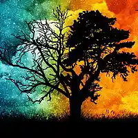 Picture for song 'BothWays' by artist 'Lightning Music'