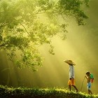 Picture for song 'The Journey (Theme)' by artist 'Max Qubit'