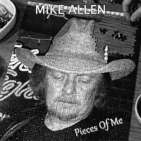 Picture for song 'Tail Lights' by artist 'Mike Allen'