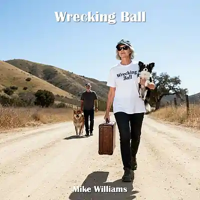 Picture for song 'Wrecking Ball' by artist 'Mike Williams'
