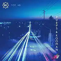 Picture for song 'Top 40' by artist 'Mr.Kooman'