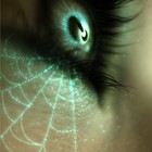 Picture for song 'Spider Web' by artist 'Not HollyWood Production'