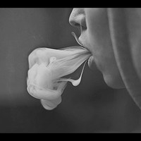 Picture for song '(*BRAND NEW*) High Spirits (*Free DL*)' by artist 'Ocrossbeats'