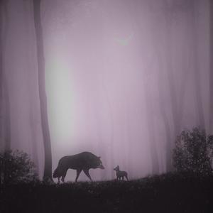 Picture for song 'Reunited' by artist 'Peter Wonttell'