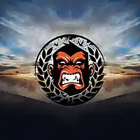 Picture for song 'Icarus' by artist 'Phantom Killah Beats'