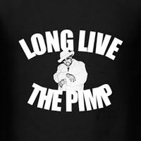 Picture for song 'You Have 2 Pimp A Flow Like This' by artist 'Professor Xxx'
