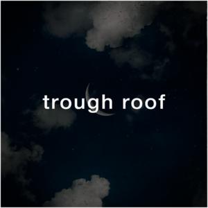 Picture for song 'Trough roof (Guitar Boom Bap)' by artist 'Puls Ever'