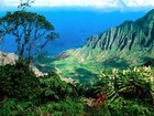 Picture for song 'Blue Hawaii.mp3' by artist 'Rex Reynolds'