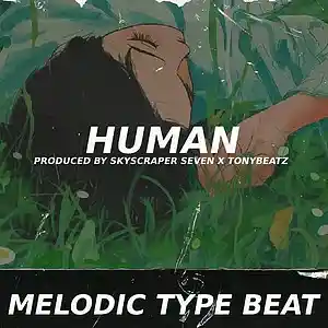 Picture for song 'Sad Melodic Type Beat - Human' by artist 'Skyscraper Seven'
