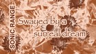 Picture for song 'Swayed by a surreal Dream' by artist 'SONiC RANGE'