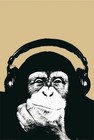 Picture for song 'Evolutionary Rythme (prod by SOUND CHASE) FREE DL' by artist 'SOUND CHASE'
