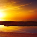 Picture for song 'Don't Know What To Do (Samp) Hip-Hop $39.99 Lease!' by artist 'Suga Shane Beats'