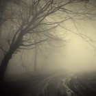 Picture for song 'Autumn's Prom' by artist 'Thierry Vallerand'