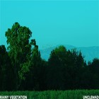 Picture for song 'AURORA BOREAL' by artist 'UNCLEMAD'