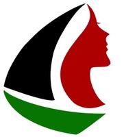 Picture for song 'Women's Boat to Gaza' by artist 'Unusual Sources'