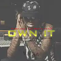 Picture for song '*HIT*Own It ' by artist 'VahhaBeatz'