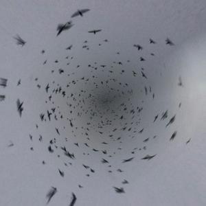 Picture for song 'Lil Baby x NLE Choppa Type Beat - Predator 140 bpm' by artist 'WHAT?BOYBEATS'