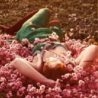 Picture for song 'Slow Crush' by artist 'White Cascade'