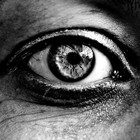 Picture for song 'Insomnia' by artist 'YOUNGH PRODUCTIONS'