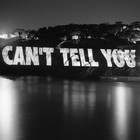 Picture for song 'YES SIR- I can't tell you' by artist 'YzSiR'