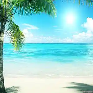 Picture for song 'Summer Soul' by artist 'Michael Bennett'