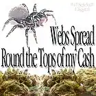 Picture for song 'Webs spread round the tops of my cash' by artist 'Ruff Selektah'