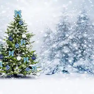 Picture for song 'White Christmas' by artist 'Tactical Uke'
