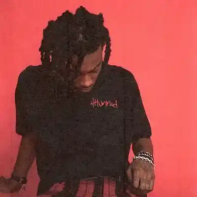 Picture for song 'Playboi Carti x Pi'erre born Type Beat (WLR V1)' by artist 'xanx'