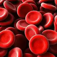 Picture for song 'My Blood is Red' by artist 'Gerdj and the New Octave'