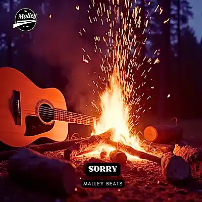Picture for song 'SORRY [MERKULES SAD GUITAR RAP TYPE BEAT]' by artist 'Malley Beats'