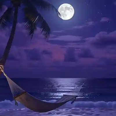 Picture for song 'Lovers moon - Roland le Roc' by artist 'Roland le Roc'