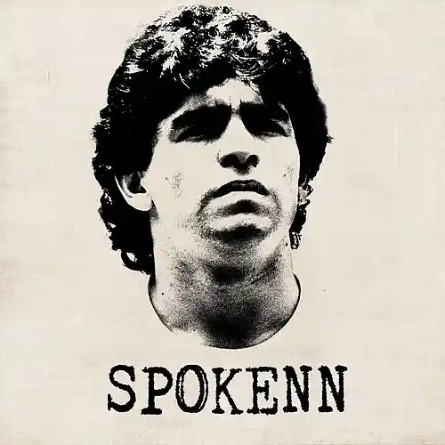 Picture for song 'Your Heart ft. Sandra O.' by artist 'Spokenn'