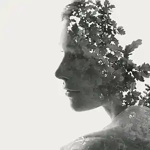Picture for song 'YOU ARE FRAGILE' by artist 'tamsnumber4'