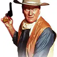 Picture for song 'John Wayne Prod Young N Fly ' by artist 'Young N Fly Beatz'